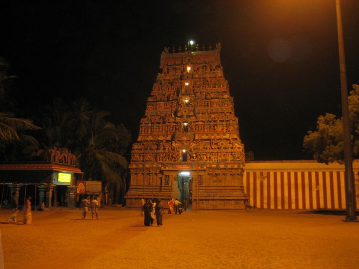 Thirunageshwaram_Rahu_Naganathar temple